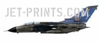 Tornado JaboG 31 special paint 311 Squadron